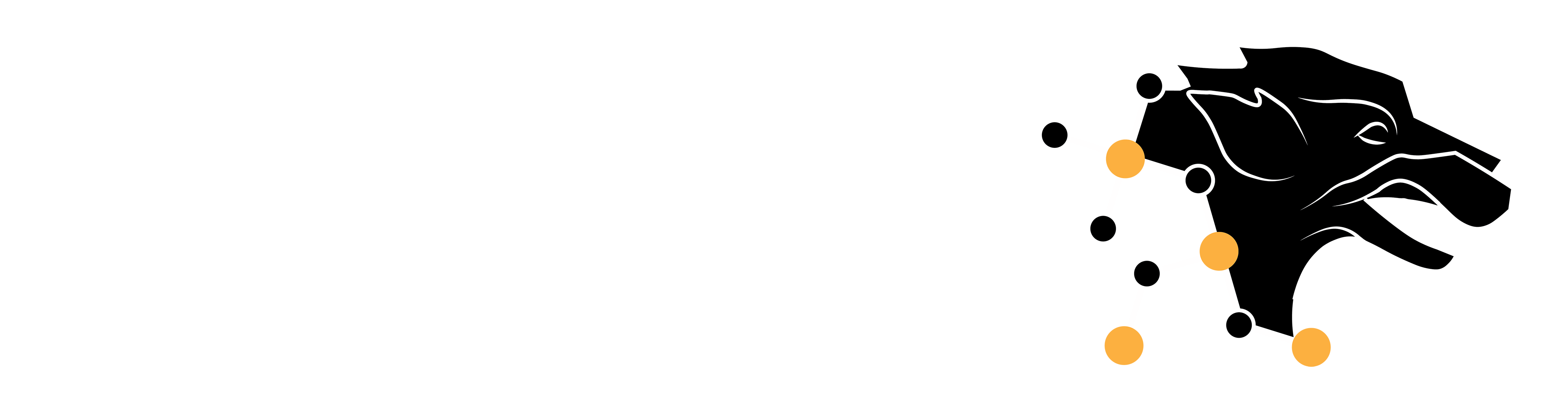 Blackwolf Copper and Gold LTD